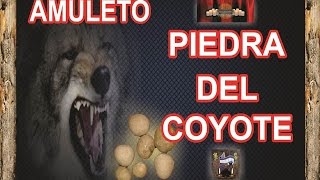 PROPIEDADES de la PIEDRA DEL COYOTE  AMULETO PODEROSO  Esoterismo Ayuda Espiritual [upl. by Donohue]