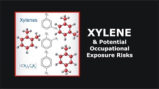 Xylene and Potential Occupational Exposure Risks [upl. by Keung]