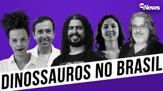 Dinossauros brasileiros  Febre emocional  Vacina braço ou glúteo  Futebol e natalidade [upl. by Mada]