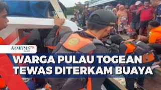 Warga Pulau Togean Tewas Diterkam Buaya [upl. by Klump229]