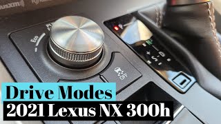 Drive Modes of the 2021 Lexus NX 300h [upl. by Yenreit687]