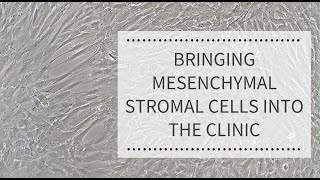 Bringing Mesenchymal Stromal Cells into the Clinic REPROCELL [upl. by Analem]