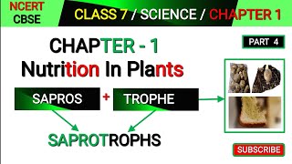 Saprotrophs  Class 7 Science Chapter 1  Nutrition in plants  Mode of Nutrition in plants [upl. by Christiane]