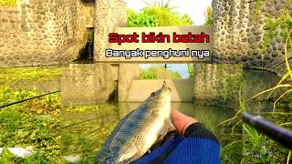 SPOT BIKIN BETAH  MANCING IKAN LIAR BANYAK DI HUNI IKAN BETOK VS NILA [upl. by Koah]