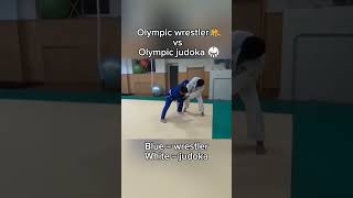 Olympic Wrestler vs Olympic Judoka [upl. by Oigufer]