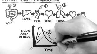 Pharmacokinetics 2  Absorption [upl. by Marabel814]