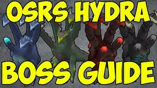 OSRS  Hydra Boss Guide Alchemical Hydra Guide [upl. by Anahsar]