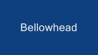 Bellowhead New York Girls [upl. by Atir]