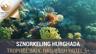 Sznorkeling Hurghada 4K  Tropitel Sahl Hasheesh  Egyiptom Travel [upl. by Cath]