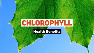 Chlorophyll Benefits for Health  Thea health benefits of Chlorophyll  liquid chlorophyll benefits [upl. by Saloma]