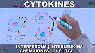 Cytokines  Classification and Functions [upl. by Gurango]