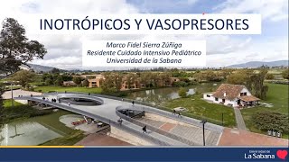 Inotropicos y vasopresores 22 Curso Fisiología UCIP 2022 05 25 [upl. by Anilra]