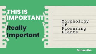 MORPHOLOGY OF FLOWERING PLANTS [upl. by Oakleil]