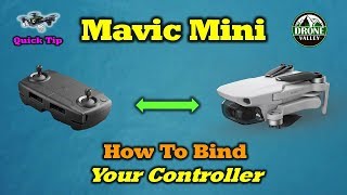 How To Pair Your Mavic Mini Drone and Controller [upl. by Fry334]