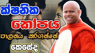 ක්ෂනික කෝපය පාලනය කරගන්නේ කොහොමද welimada saddaseela therubudubana bana කවි බන trending [upl. by Cid]