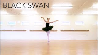 Black Swan White Swan excerpts [upl. by Heti]