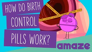 How Do Birth Control Pills Work [upl. by Aicilif]