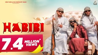 Habibi Official Video  Mohit Chopra  Pinky Singh  Lavee  Haryanvi Song [upl. by Leihcim]