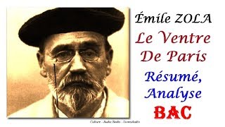 BAC  Émile ZOLA Le Ventre De Paris Résumé Analyse [upl. by Huda]