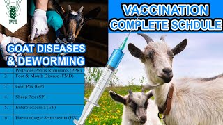 GOAT VACCINATION SCHEDULE  BAKRO KI DEWORMING KAB KAR WANA CHAIYE [upl. by Atikat966]