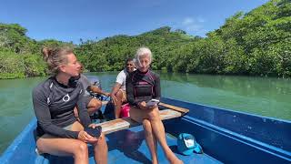 Fiji Salzsee bei Savusavu [upl. by Iolenta]