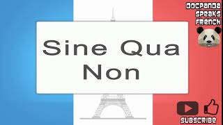 Sine Qua Non  How To Pronounce  French Native Speaker [upl. by Clint]