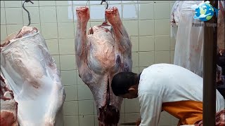 Unbelievable Saudi Arabia Beef Market  KSA  food vlog  Tamil [upl. by Janelle]