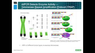 Using Droplet Digital™ PCR for Cancer and Liquid Biopsy Studies [upl. by Ahsinad]