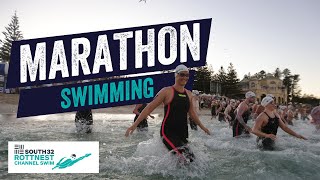 Marathon swimming through the open ocean Tips tricks and advice  South32 Rottnest Channel Swim [upl. by Evelina]