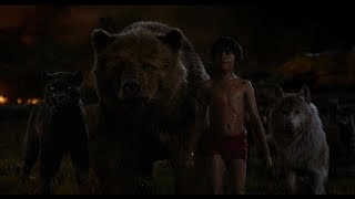 The Jungle Book 2016  Sherekhan VS Baloo amp Bagheera  Hollywood  MovieClips In Hindi HD [upl. by Riess]