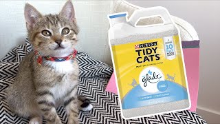 Prof Dr Kurt reviews clumping cat litter Purina Tidy Cats Glade [upl. by Aienahs]