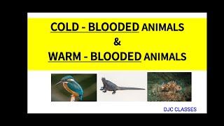 COLD  BLOODED ANIMALS amp WARM  BLOODED ANIMALS  POIKILOTHERMIC ANIMALS  HOMEOTHERMIC ANIMALS [upl. by Enaud]