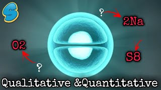 Qualitative and quantitative significances በአማርኛ grade 7 Chemistry Unit 3 part 6 [upl. by Silva]