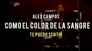 Como el color de la sangre Te puedo sentir  Alex Campos  Video Oficial [upl. by Ramsay]