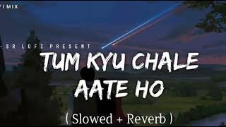 tum kyu chale aate ho slowreverd arjun0001lofi song [upl. by Annatsirhc]