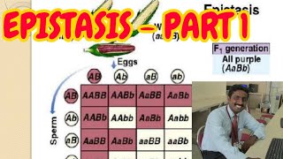 EPISTASIS PART 1  TAMIL EXPLANATION [upl. by Hamfurd]