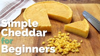 Home Cheesemaking  no special equipment required  Easy Farmhouse Cheddar Hard Cheese Recipe [upl. by Thorbert407]