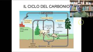 Il ciclo del carbonio [upl. by Illak924]