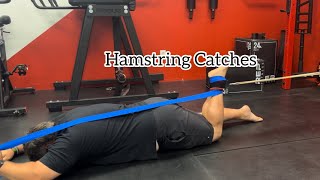 Hamstring banded Catches [upl. by Anwadal]