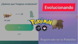 Yungoos to Gumshoos Evolving a Pokémon in Pokémon Go shorts [upl. by Ecinaj]