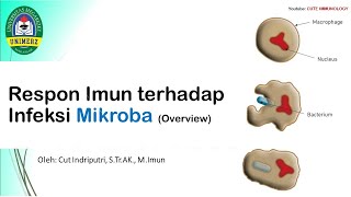 KULIAH IMUNOLOGI Respon Imun terhadap Infeksi Mikroba 1 [upl. by Oneill603]