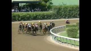 1992 Breeders Cup Day [upl. by Bohrer95]