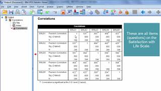 How to Interpret a Correlation Matrix [upl. by Harwin]