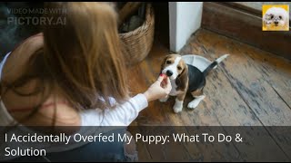 I Accidentally Overfed My Puppy  What To Do amp Solution [upl. by Amiel660]