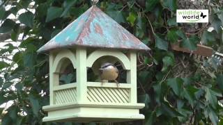 Quelle mangeoire pour oiseaux installer au jardin   Truffaut [upl. by Blackmore]