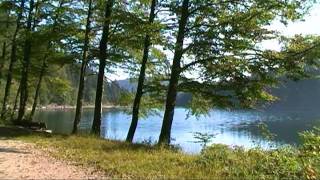 Randonnée dans les Vosges Lac des Corbeaux [upl. by Eimarrej]