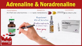 Pharmacology ANS 14 Direct Acting Adrenergic Agonists Adrenaline  Noradrenaline Isoprenaline [upl. by Obla511]