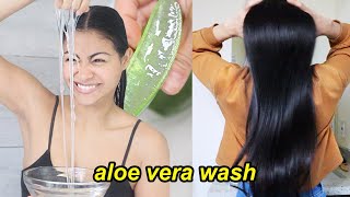 My ALOE VERA HAIR WASH ROUTINE  How to apply aloe vera gel in the shower [upl. by Mannie]