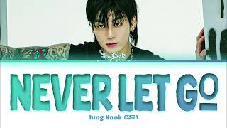 Jung Kook 정국 Never Let Go Lyrics [upl. by Atiuqahc718]