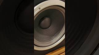 Speaker Not Blown Woofer Foam Surround Dry Rot [upl. by Baxy66]